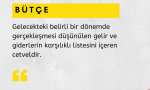 8.Bütçe