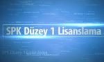 düzey-1