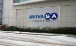 avivasa