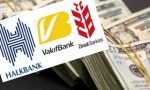 kamu bankaları ve dolar