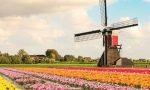 hollanda