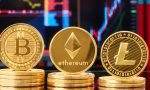kripto para