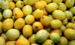 limon