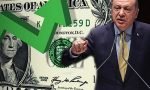 tayyip erdoğan-dolar