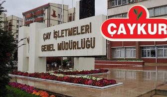 çaykur