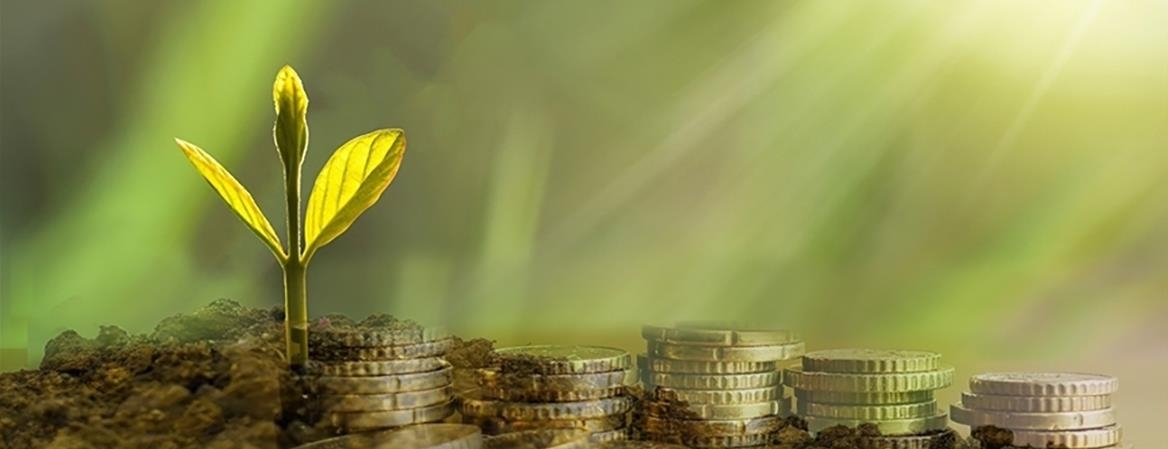 Türkiye’deki bankaların “iklim karnesi” açıklandı