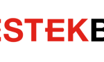 destek yatırım bankası