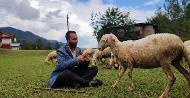 iki-universite-bitirip-hayali-kaymakamlik-olan-genc-cobanlik-yapmaya-basladi