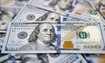dolar