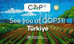 cop31