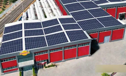 turkiyenin-koklu-zeytin-markasi-baktat-konkordato-surecine-girdi-bqdb