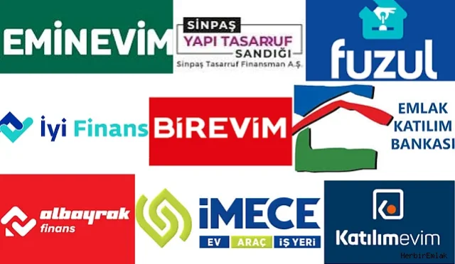 tasarruf finansman sirketleri