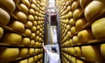 italya-peynir-bankasi-parmigiano-reggiano