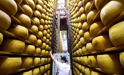 italya-peynir-bankasi-parmigiano-reggiano