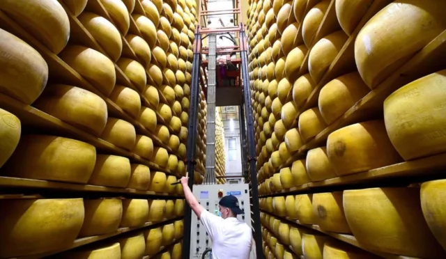 italya-peynir-bankasi-parmigiano-reggiano