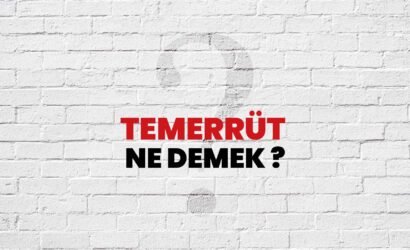 temerrut-ne-demek
