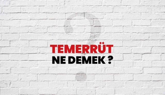 temerrut-ne-demek